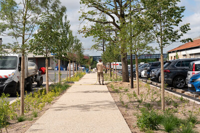  - Agrandir l'image 111 sur [166], fenêtre modale