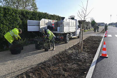 Rue Chantelauze, le 30 janvier 2024 (photo Darri)