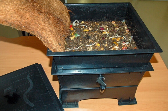 - Agrandir l'image, fenêtre modale