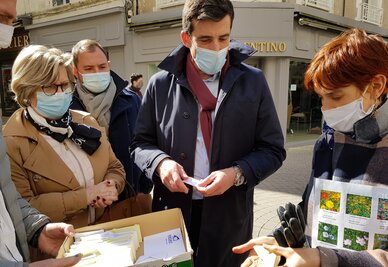 Végétalisation des rues piétonnes