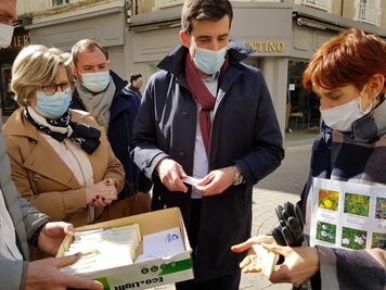 Végétalisation des rues piétonnes