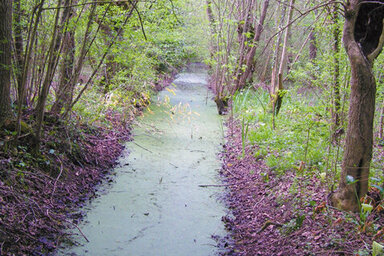 illustration de la manifestation Histoire de Nature : A la découverte du Marais de Galuchet