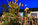 Décoration sapin de Noël