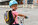 Circulation des velos dans le centre ville de Niort avec ameangements pour les cycles. Velos dans la Ville