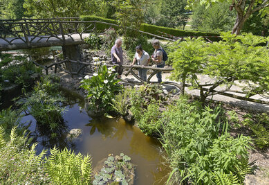 Le Jardin des Plantes. Photo : Darri