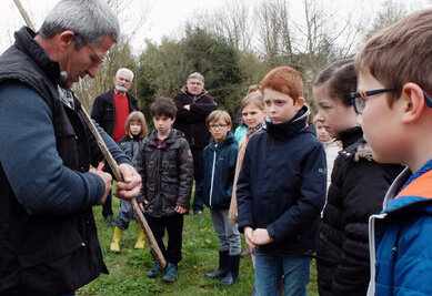 Plantation de peupliers dans le secteur de la ferme de Chey le 18 mars 2017 ©CBernard