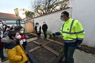 Amenagement d'un jardin Pedagogique