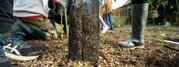 Plantation d?arbres par des eleves de l'ecole Jean-Mermoz pour la creation d'un jardin-foret gourmand a Souche