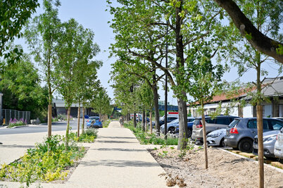 Visite du chantier Gare Niort Atlantique - Agrandir l'image 98 sur [166], fenêtre modale