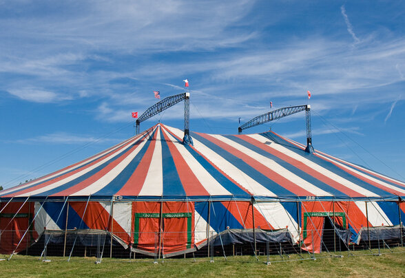 - Agrandir l'image, fenêtre modale