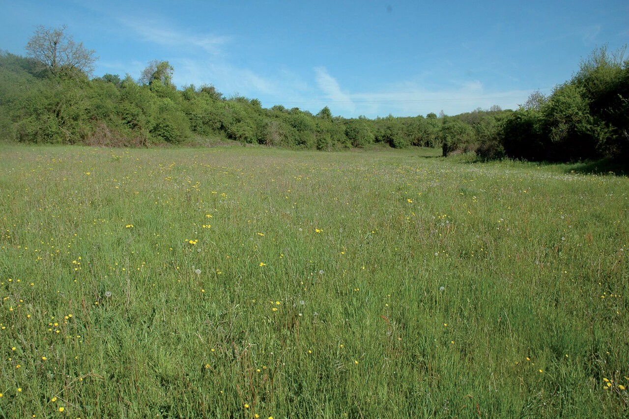 Vallée de Torfou ©Anthony Le Fouler- DSNE
