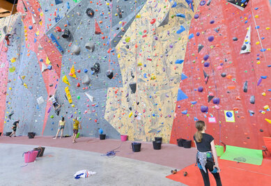 La verticale de l'Acclameur La Verticale a l'Acclameur