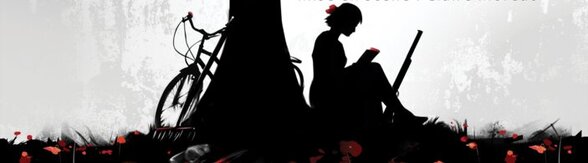 - Agrandir l'image, fenêtre modale