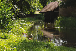 Mairie du Val-du-Mignon