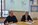 Signature de la convention de recouvrement des recettes en présence de Gérard Lefevre, conseiller municipal délégué aux finances et Eric Bonnemaison, responsable du service de gestion comptable de Niort.