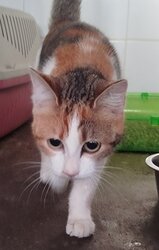 Photo d'un(e) EUROPEEN