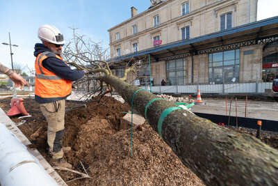  - Agrandir l'image 49 sur [166], fenêtre modale