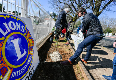Plantation d'un arbre fruitier dans la cour de l?ecole primaire Ernest Perochon par les membres du Lions Club et les elus de la Mairie de Niort