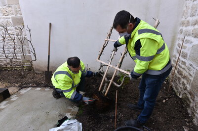 Amenagement d'un jardin Pedagogique