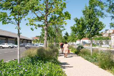  - Agrandir l'image 8 sur [166], fenêtre modale