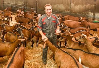 Sylvain Veillon Sylvain Veillon au milieu de ses chèvres
