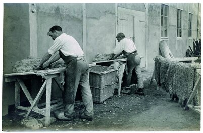 Le travail de rivière pour préparer la peau au tannage ©DR Le travail de rivière pour préparer la peau au tannage ©DR