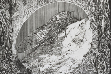 illustration de la manifestation Accrochage : François Verdier, artiste graveur