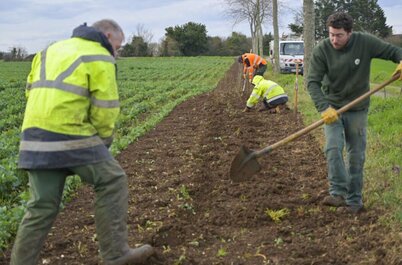 Plantation d'arbres dans la cadre de l'opération Canopee